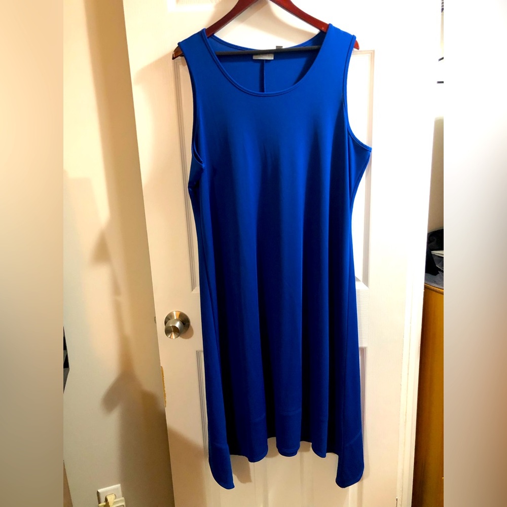 Susan Graves premiere dress